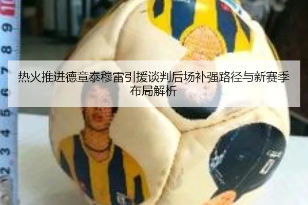 热火推进德章泰穆雷引援谈判后场补强路径与新赛季布局解析